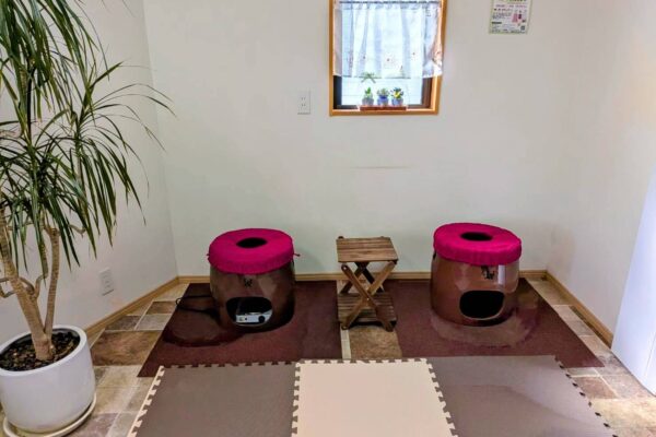 球体肌美人　準サロン-葉音(hanon)津山店-